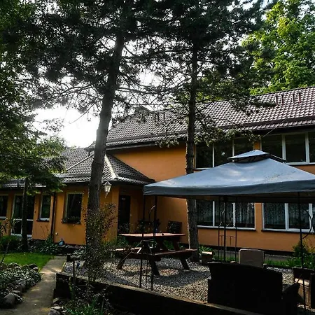 Goscinne „sen” Iława